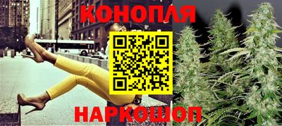 сатива Будённовск
